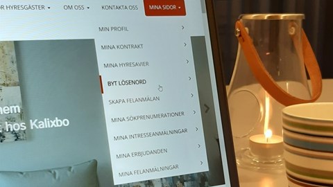 Mina sidor - dygnet runt