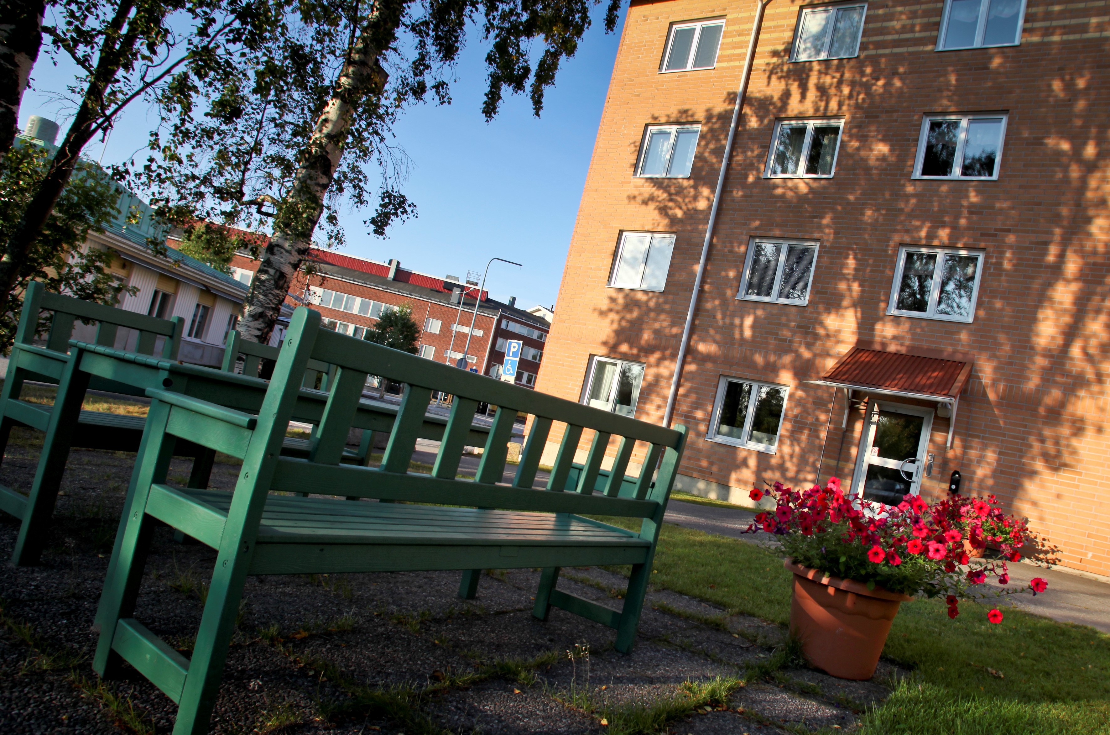 Grön parkbänk och blomma i förgrunden, Lejonsgatan 4