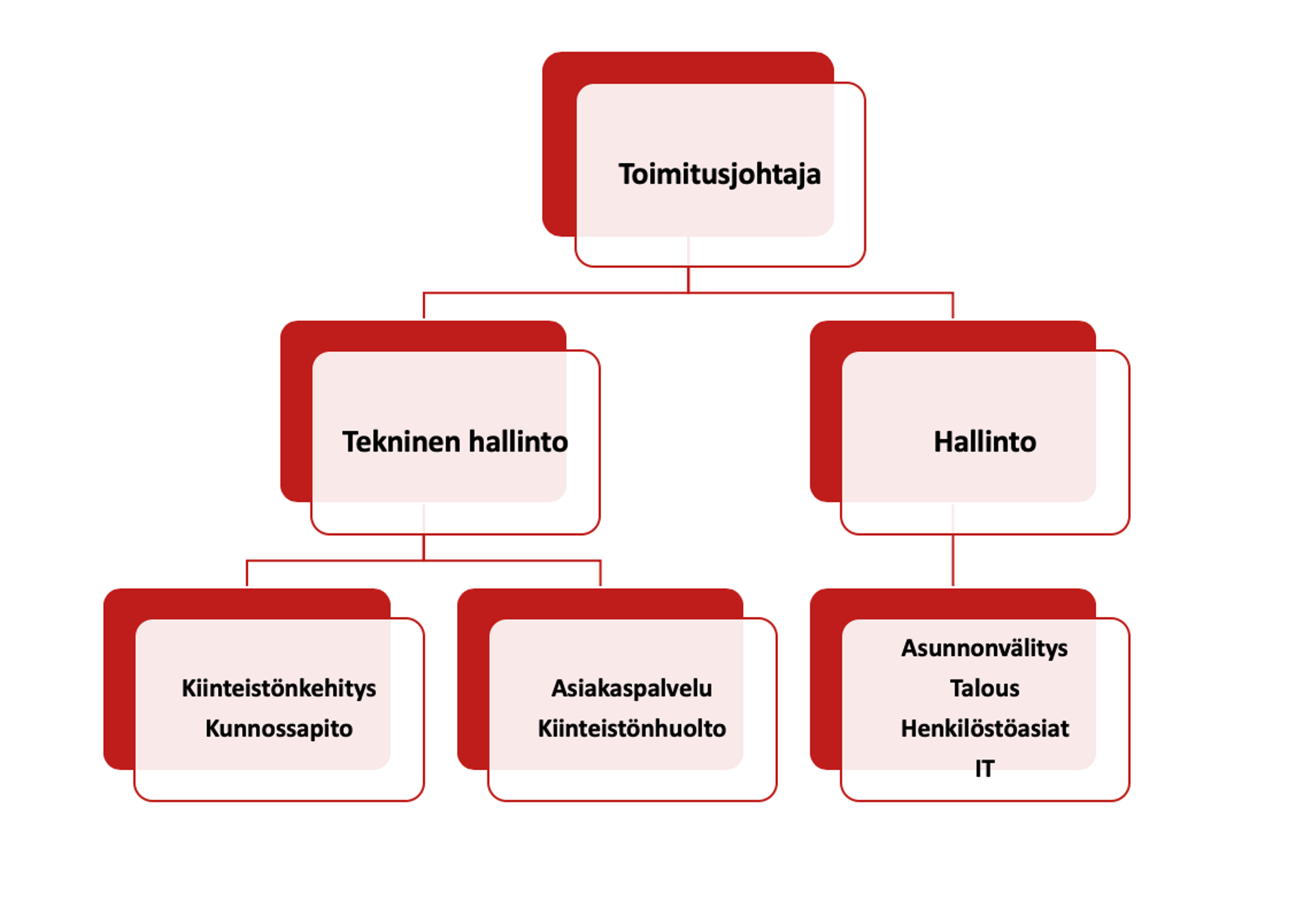 Organisationsschema Fin